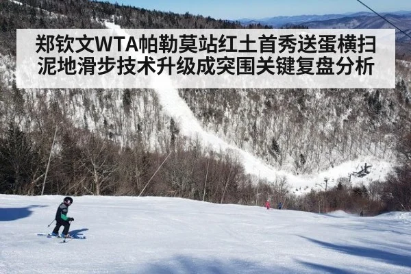 郑钦文WTA帕勒莫站红土首秀送蛋横扫 泥地滑步技术升级成突围关键复盘分析