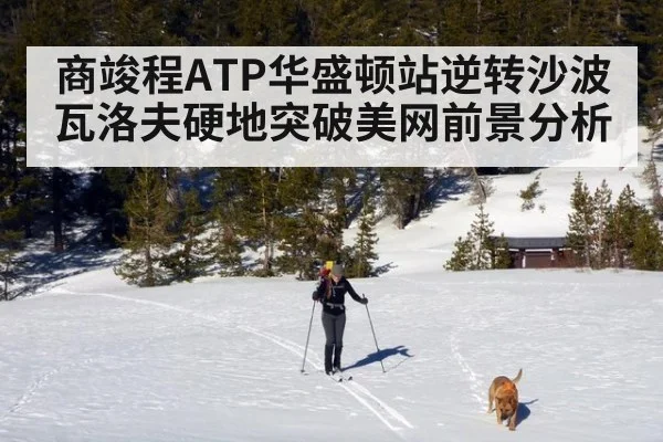 商竣程ATP华盛顿站逆转沙波瓦洛夫硬地突破美网前景分析