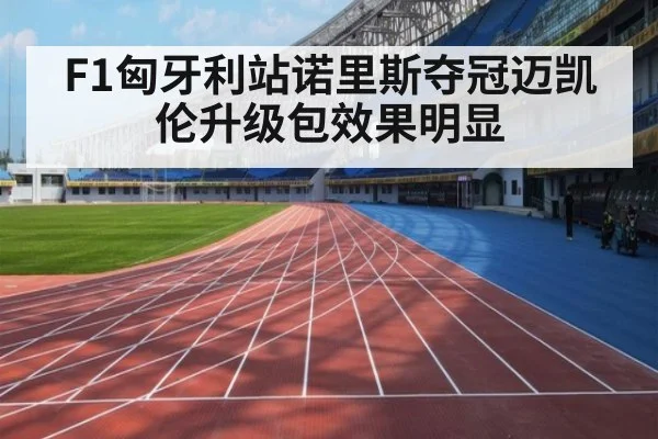 F1匈牙利站诺里斯夺冠迈凯伦升级包效果明显